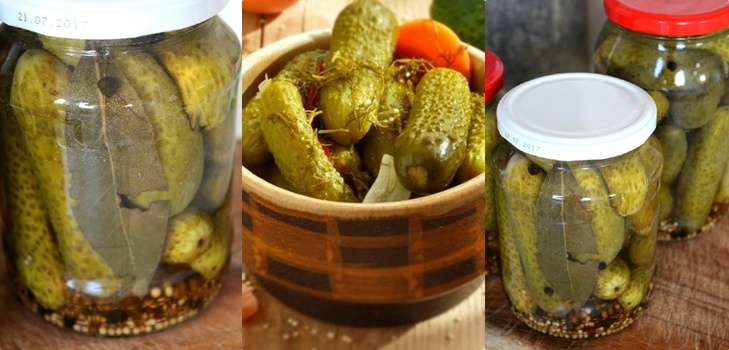 Kovanlarda kışın hardal ile salatalık, fotoğraflarla yemek tarifleri