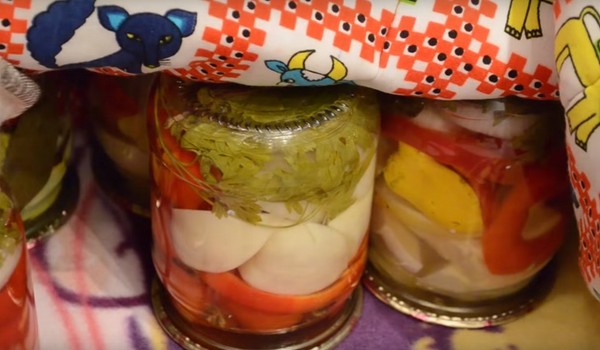 Kış için patisons, boşlukların lezzetli yemek tarifleri kavanozlarda "parmaklar yalamak" - turşu, tuzlu, sterilizasyonsuz
