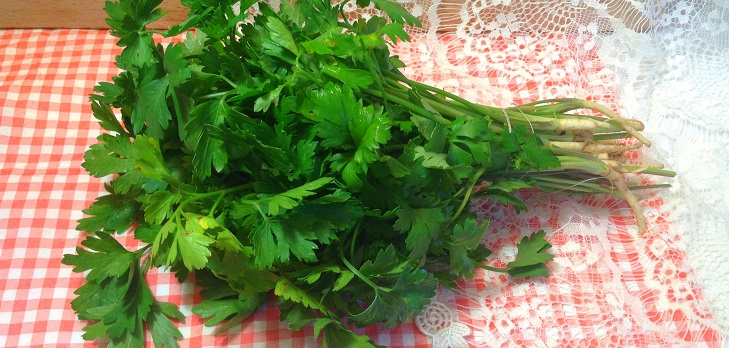 Kış için taze maydanoz tarifi