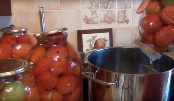 Kış için sarımsaklı domatesler, yemek tarifleri. Domatesleri sarımsakla kış için hasat etme: Sterilizasyon olmadan hızlı pişirme için bir tarif, banyo yapmadan tuzlu
