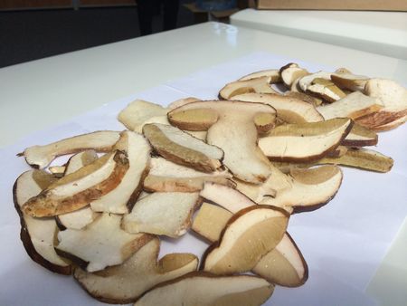 Kurutulmuş mantardan çorba tarifi, yararlı özellikleri