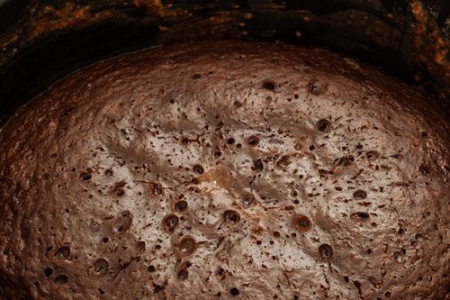 Çoklu gözlü çikolatalı kurabiye - fotoğraflı hızlı tarifi