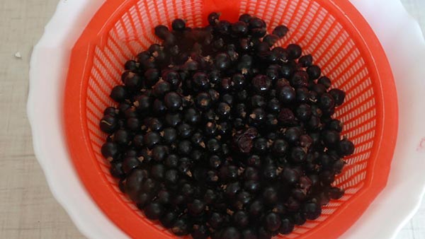 Kış için şekerli frenk üzümü, pişirmeden Pyatiminutka, dondurulmuş. Frenk üzümü tarifi, kek için şekerle rendelenmiş (buzdolabı olmadan)