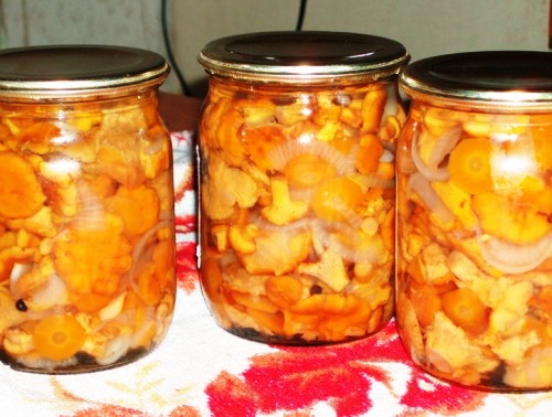 Tuzlu pancar