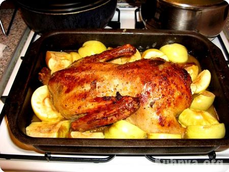 Fırında ördek: ne kadar lezzetli yemek?