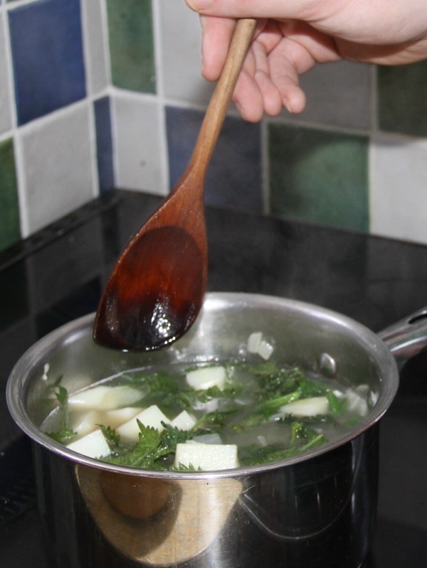 Lezzetli sulu ısırgan çorbası