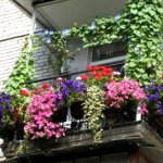 Balkon nasıl dekore edilir Balkon nasıl dekore edilir