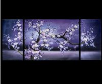 Feng Shui'deki resimler Feng Shui'deki resimler