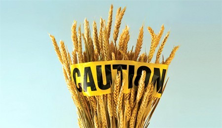 Gluten hakkında 10 olgu