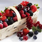 Berry özellikleri Berry özellikleri