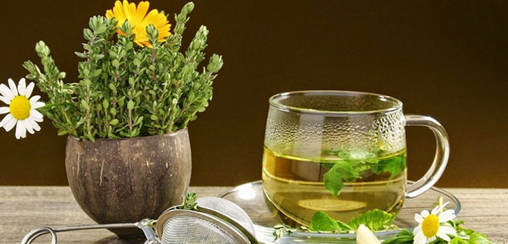 Fitoathemia: güzellik ve sağlık için şifalı otlar
