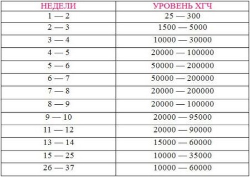 Hamilelikte HCG