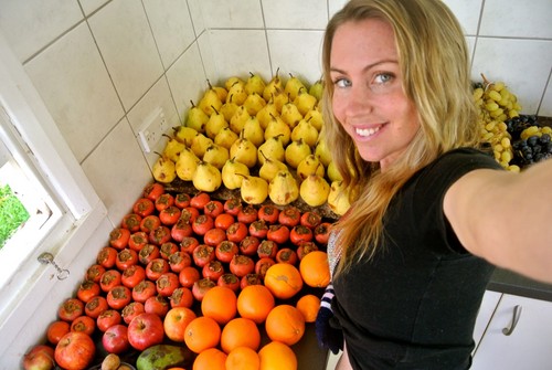 Bir vegan nasıl olunur. Sağlıklı Bir Diyet İçin 9 Adım