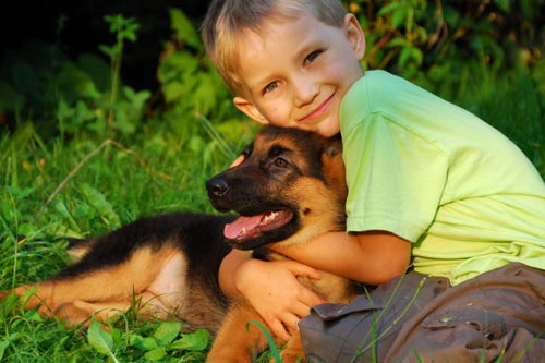Köpek hastalıkları insanlar için tehlikelidir