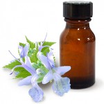 Patchouli yağı ve yararlı özellikleri