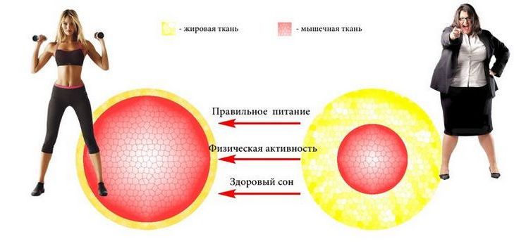 Metabolik rahatsızlıklar için nasıl tanınır ve ne yapılacağı