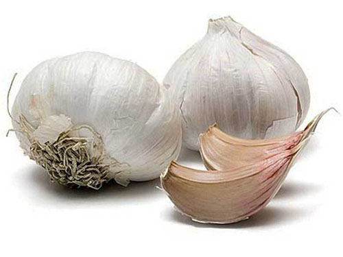 Vazodilatörler fonları