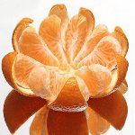 Mandalina özellikleri