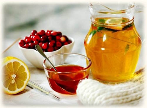 Bearberry: tıbbi özellikleri, uygulaması, fotoğrafı
